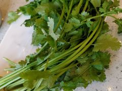 -澳盟清汤鲜黄牛肉(公济桥路店)