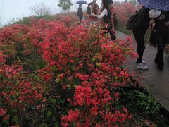 -瑞安圣井山景区