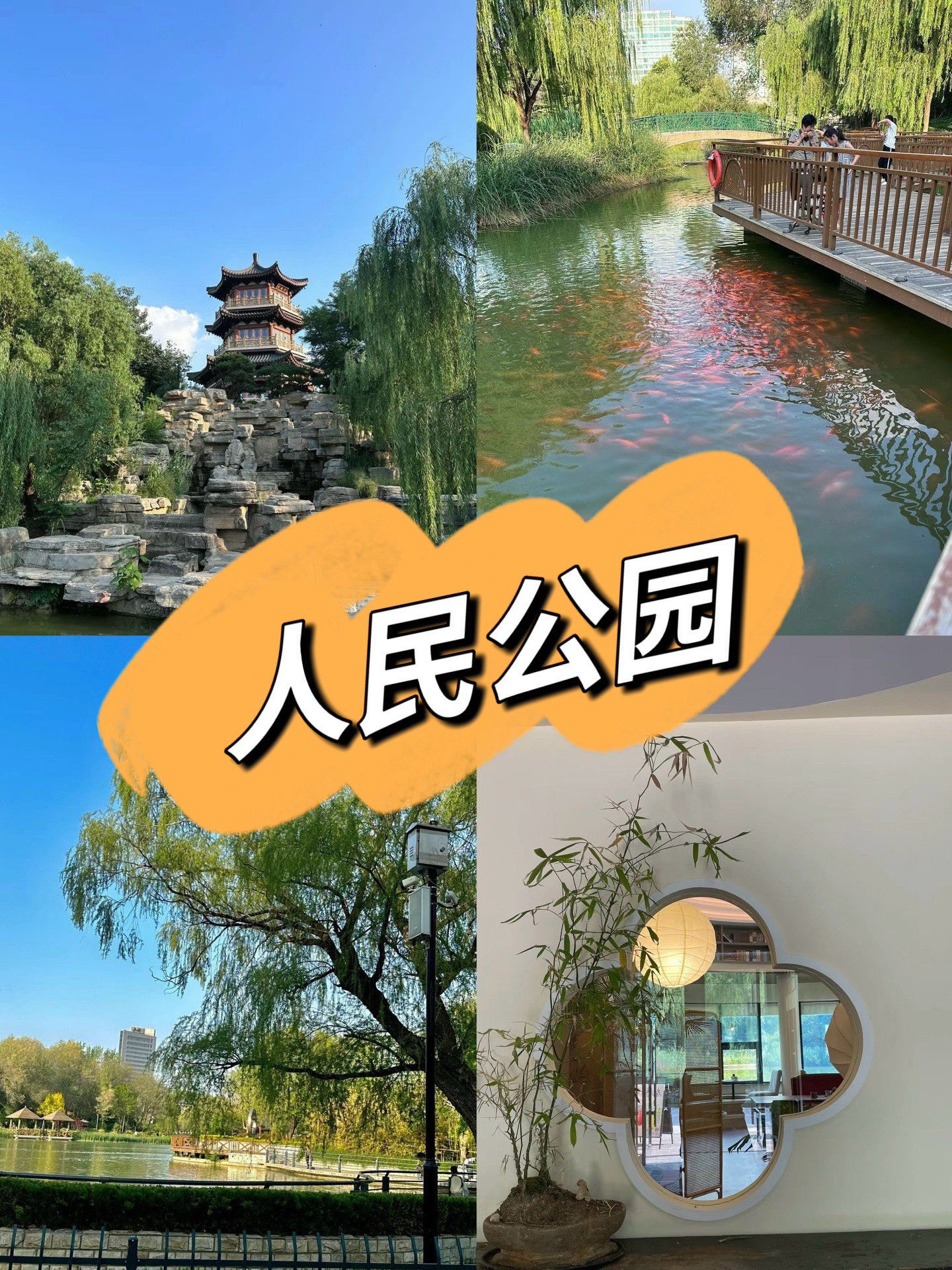 淄博|逛逛人民公园也不错 99