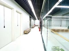 -舞蕾舞蹈(特长生校区)