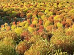-映月湖中央公园