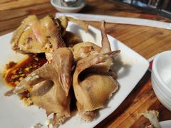 -百利鸽王(紫薇路店)