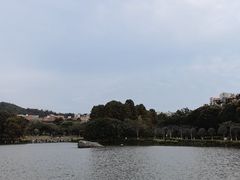 -厦门大学(思明校区)
