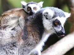 -海合安武汉极地海洋公园