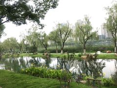 -西北湖绿化广场