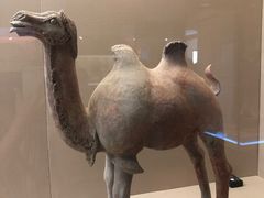 -敦煌市博物馆