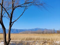 -野鸭湖国家湿地公园