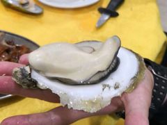 -蚝专家(北滘店)