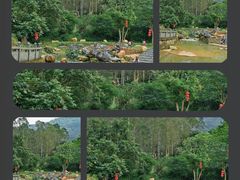 -黄埔油麻山森林公园