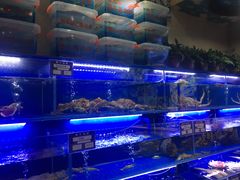 -鹊华居·地道鲁菜·海鲜·融合味(大明湖店)