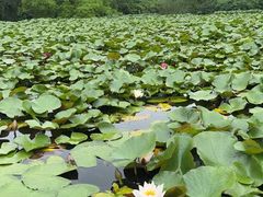 -白马涧龙池景区