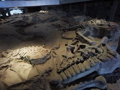 -自贡恐龙博物馆