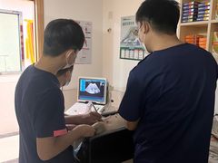 -乐琪宠物医院·犬猫专科·骨外科·急重症