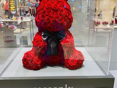 -ROSEONLY诺誓(青岛万象城店)