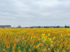 -中国天府农业博览园