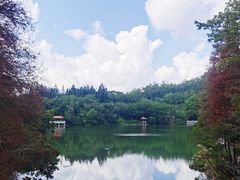 -深圳仙湖植物园