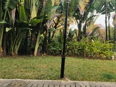 -深圳国际园林花卉博览园