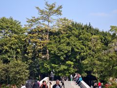-荔湾湖公园