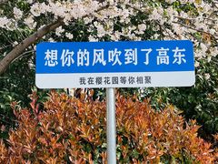 -高东镇樱花园