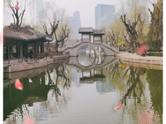 -团结湖公园