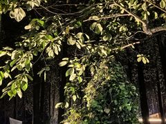 -林间山庄