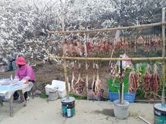 -广州市流溪河国家森林公园