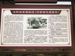 -洛阳古墓博物馆