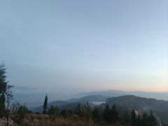 -长虫山生态公园风景林
