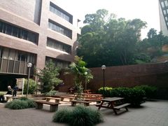 -香港大学