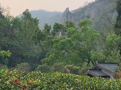-雁荡山风景名胜区