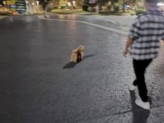-光明港公园