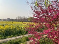 -广富林郊野公园