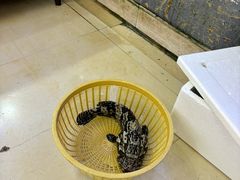 -鑫鸿达·海鲜闽菜热炒小馆(中山路店)