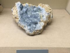 -内蒙古博物院
