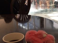 -1868 Café(上海自然博物馆店)