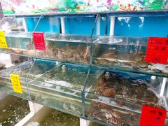 -阿弟特色海鲜餐厅·大排档(平潭店)