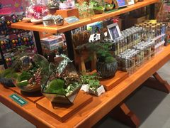 -西西弗书店&矢量咖啡(来福士广场店)