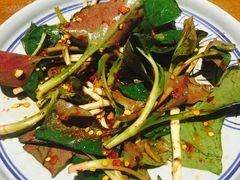 -云海肴·汽锅鸡·云南菜(天津国金汇店)