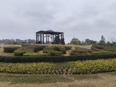 -东莞植物园