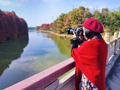 -上海海湾国家森林公园