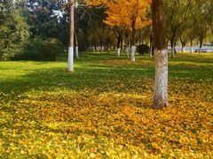 -大明宫国家遗址公园·御道广场