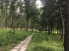 -塞罕坝国家级自然保护区