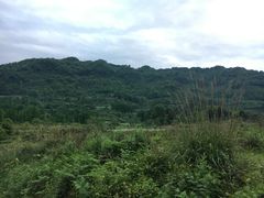 -成都蒲江花样年福朋喜来登度假酒店·宜客乐西餐厅