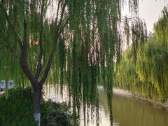 -南翠屏公园