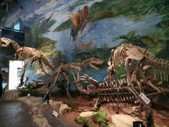 -自贡恐龙博物馆