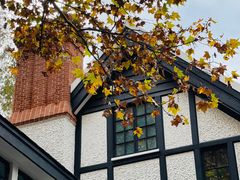 -一尺花园(安和花园店)