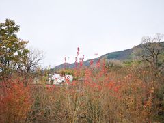 -塔川景区
