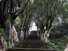 -金海湾滨江公园