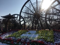 -呀路古热带植物园