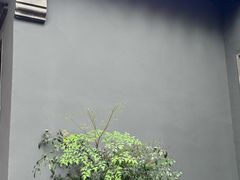 -琵琶语评弹茶馆(苏州平江路店)
